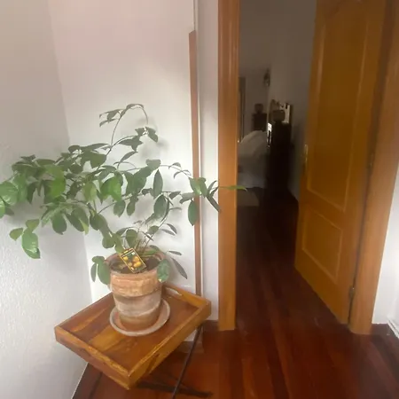 La Casina De Somiedo * Pola de Somiedo